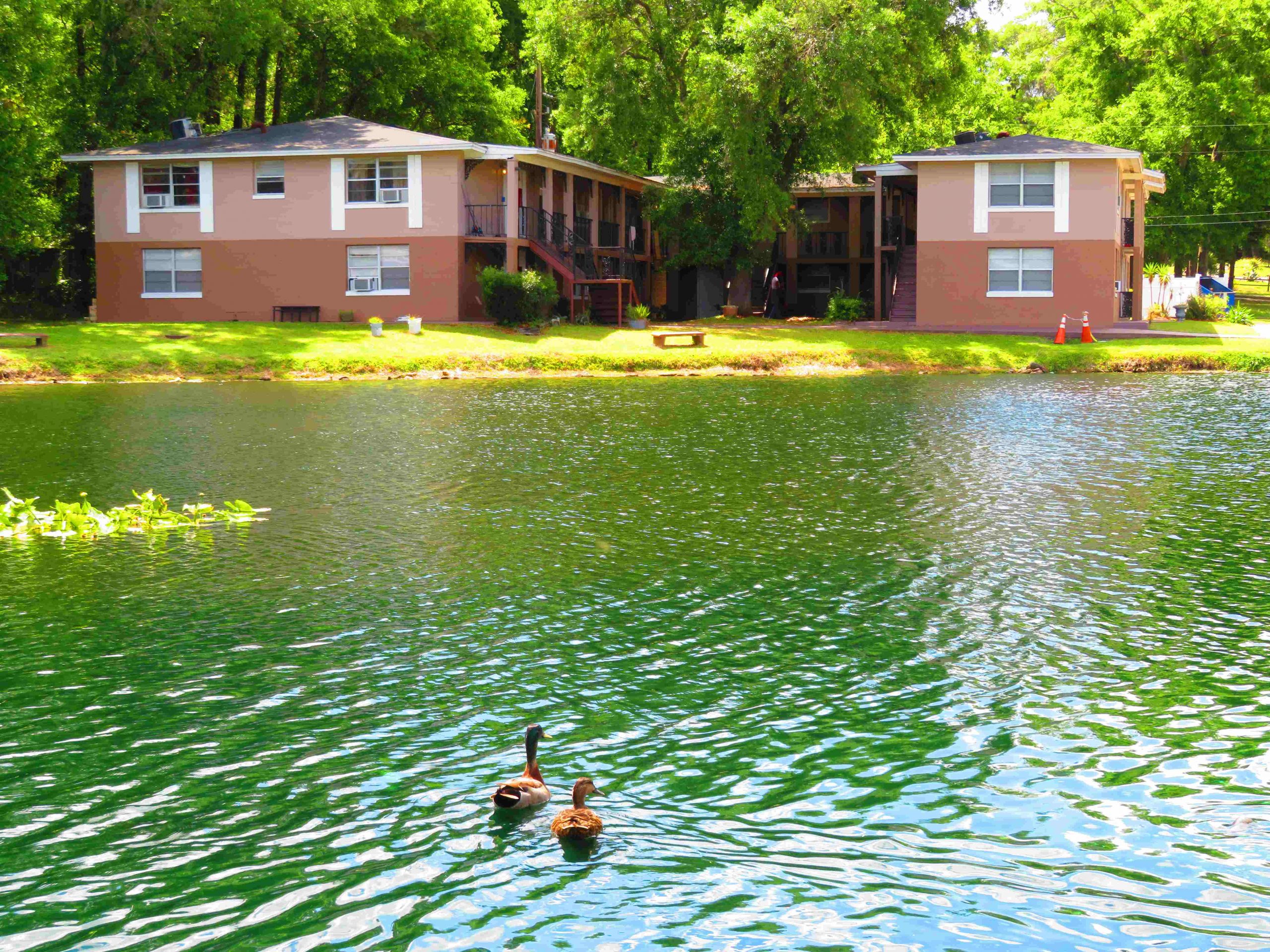 Golden Shore of Jacksonville- exterior view- lake and building